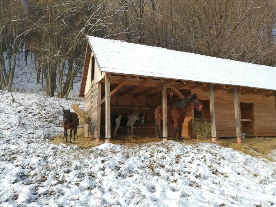Oddychovy Pobyt Na Rodinnej Farme Matiaska Esterno foto