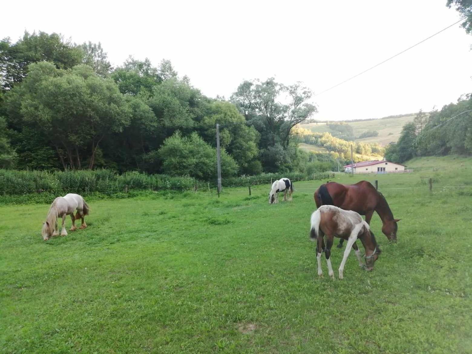 Oddychovy Pobyt Na Rodinnej Farme Matiaska Esterno foto