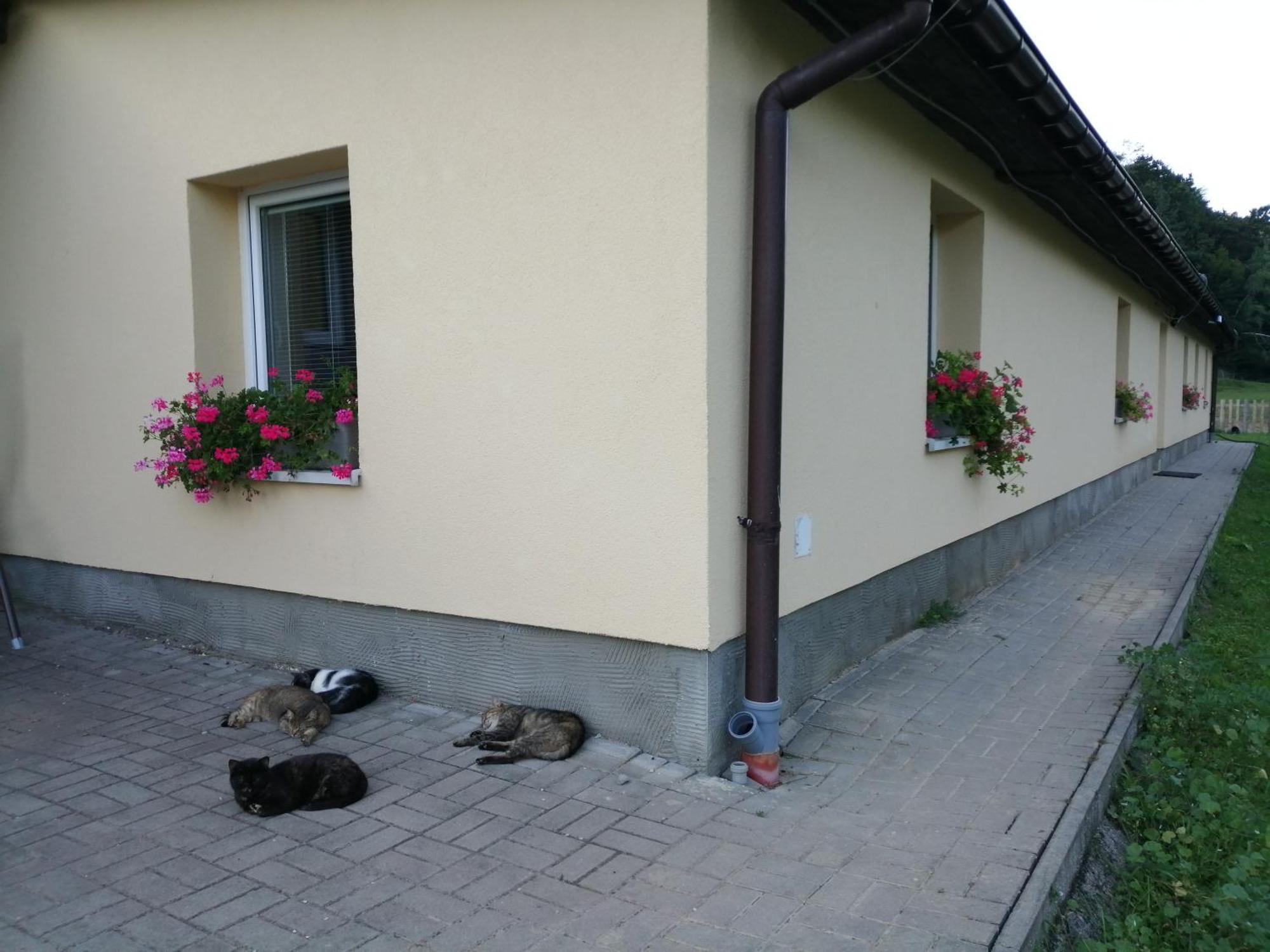 Oddychovy Pobyt Na Rodinnej Farme Matiaska Esterno foto