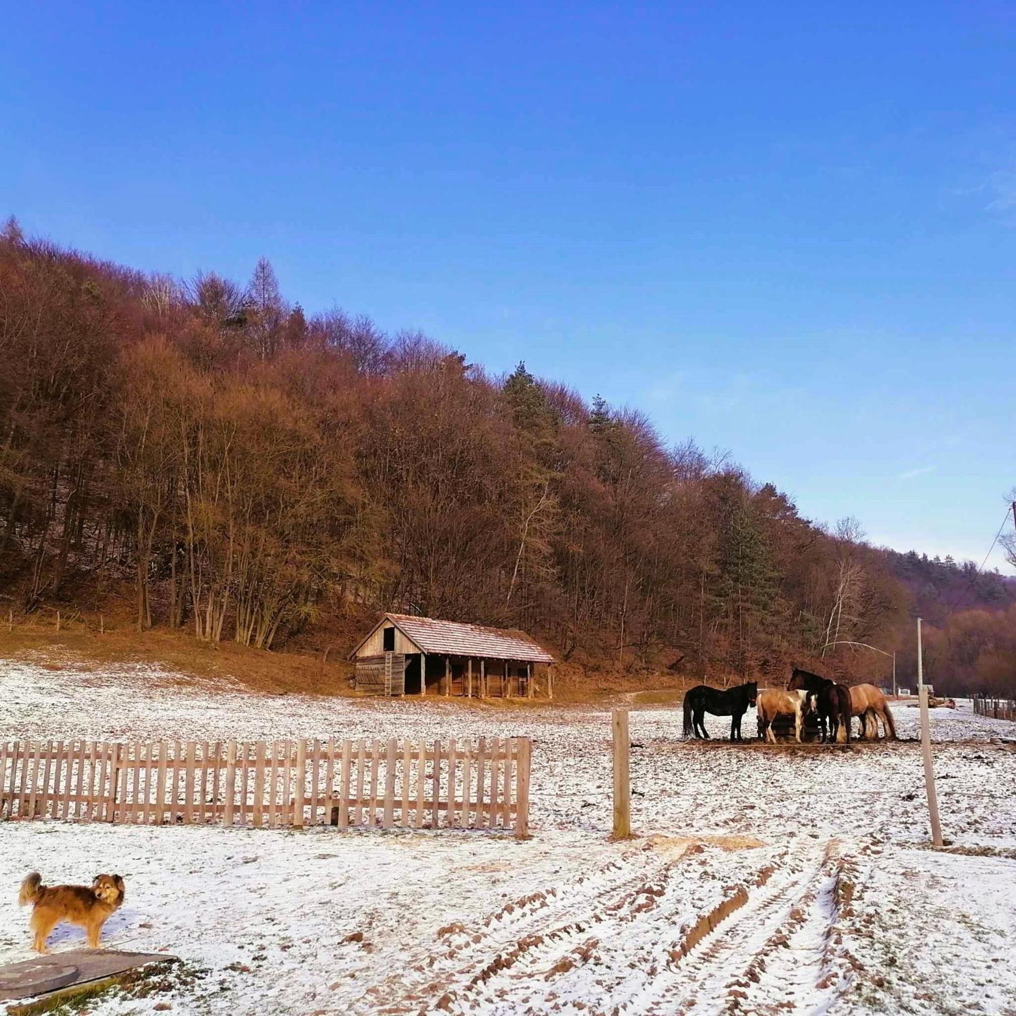 Oddychovy Pobyt Na Rodinnej Farme Matiaska Esterno foto