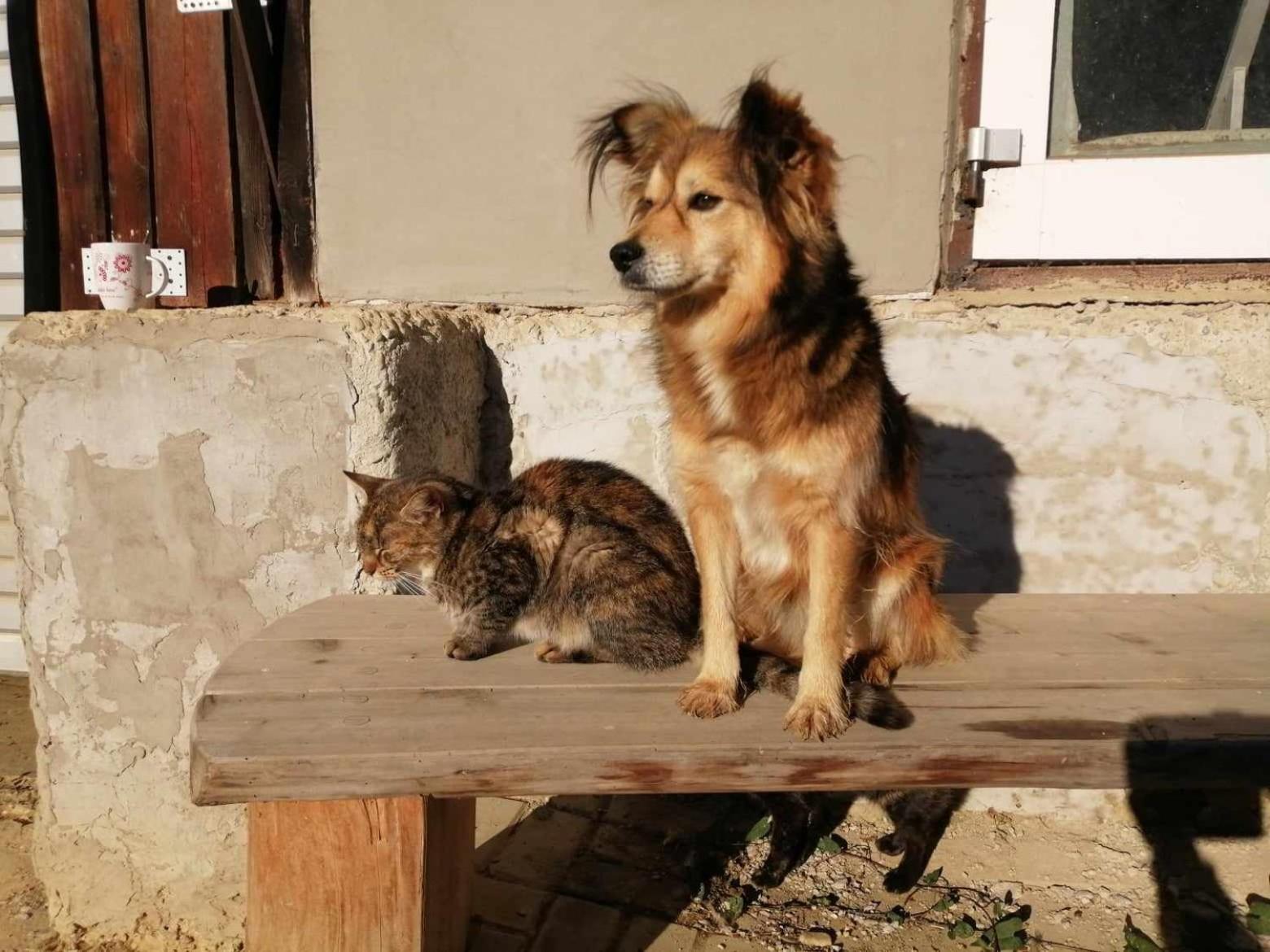 Oddychovy Pobyt Na Rodinnej Farme Matiaska Esterno foto